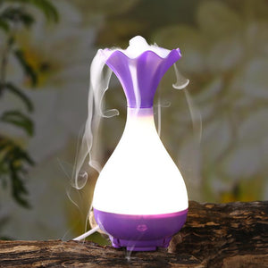 Aromatherapy Essential Oil Diffuser and Humidifier